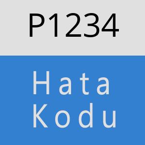 P1234 hatasi