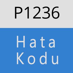 P1236 hatasi