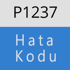 P1237 hatasi