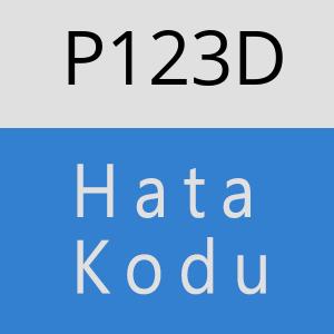 P123D hatasi