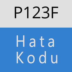 P123F hatasi