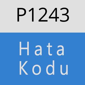 P1243 hatasi