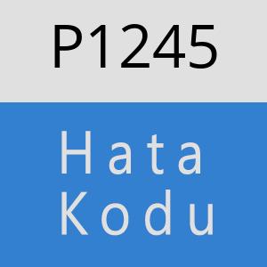 P1245 hatasi