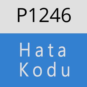 P1246 hatasi