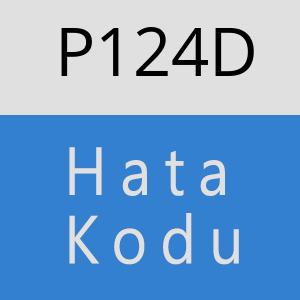 P124D hatasi