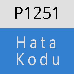 P1251 hatasi