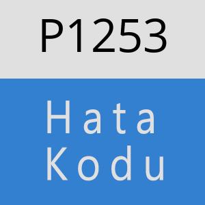 P1253 hatasi