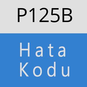 P125B hatasi