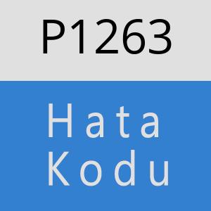 P1263 hatasi