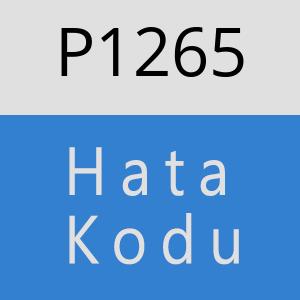 P1265 hatasi