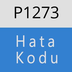 P1273 hatasi