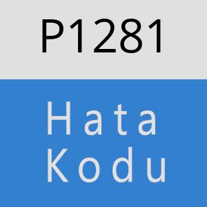 P1281 hatasi