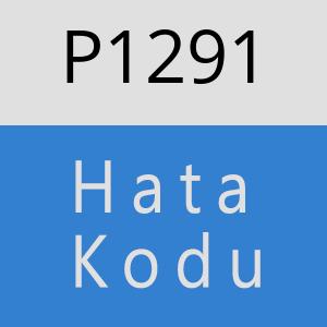 P1291 hatasi