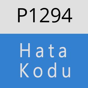 P1294 hatasi