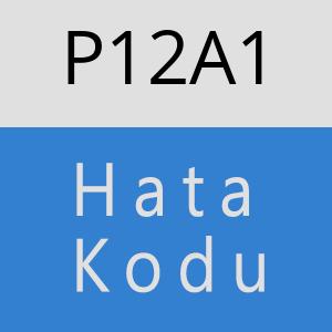 P12A1 hatasi