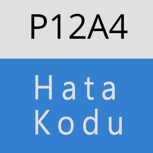 P12A4 hatasi