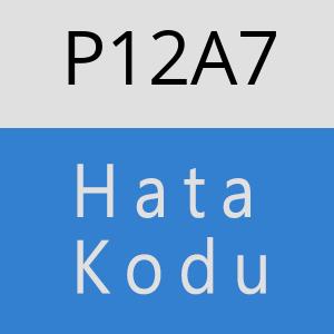 P12A7 hatasi