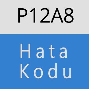 P12A8 hatasi