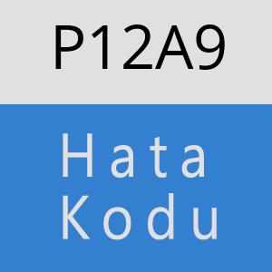 P12A9 hatasi