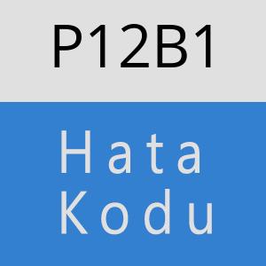 P12B1 hatasi