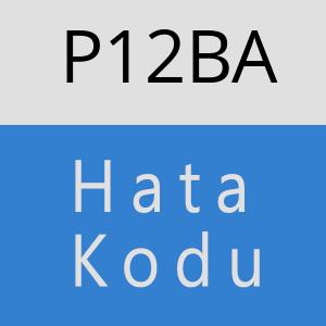 P12BA hatasi