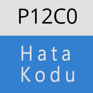 P12C0 hatasi