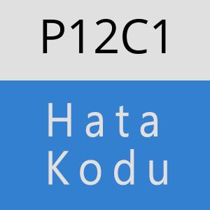 P12C1 hatasi