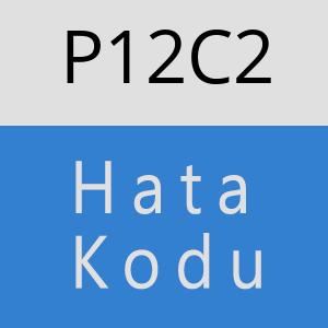 P12C2 hatasi