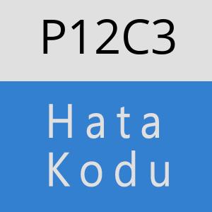 P12C3 hatasi