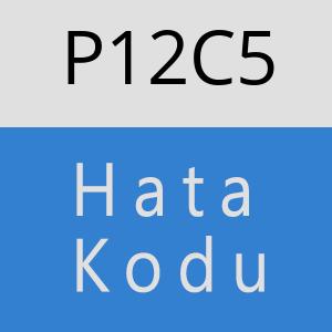 P12C5 hatasi