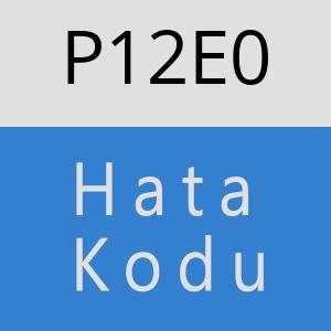 P12E0 hatasi