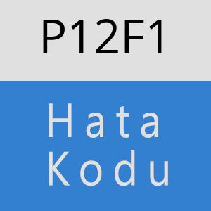 P12F1 hatasi