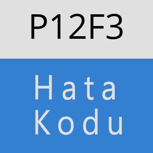 P12F3 hatasi