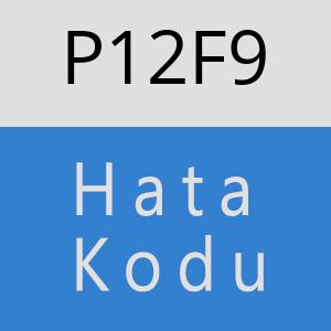 P12F9 hatasi