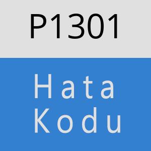 P1301 hatasi