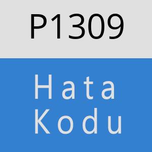 P1309 hatasi