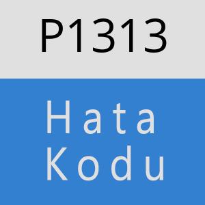 P1313 hatasi