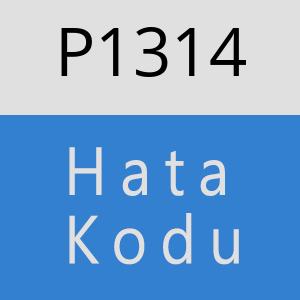 P1314 hatasi