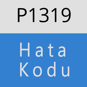 P1319 hatasi