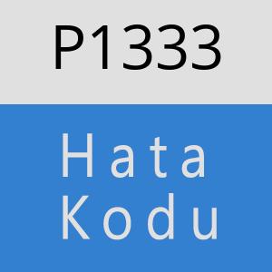 P1333 hatasi