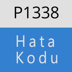 P1338 hatasi