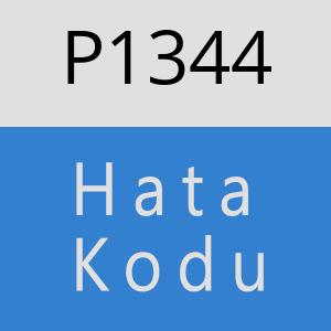 P1344 hatasi