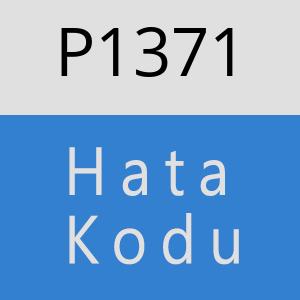 P1371 hatasi