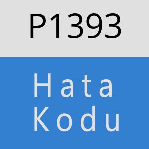 P1393 hatasi