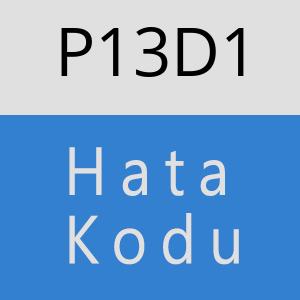 P13D1 hatasi