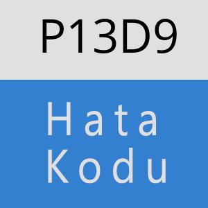 P13D9 hatasi