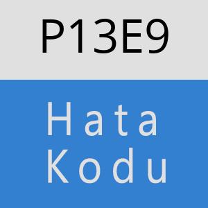 P13E9 hatasi