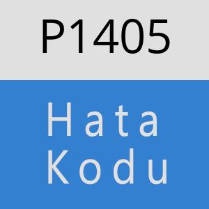 P1405 hatasi