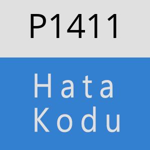 P1411 hatasi