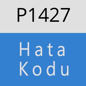 P1427 hatasi